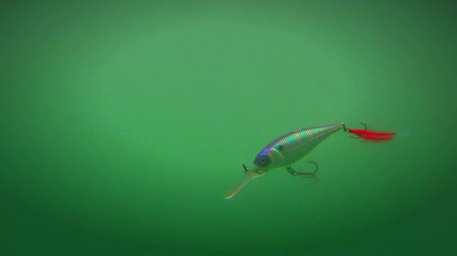 Yo- Zuri - Suspended Lures