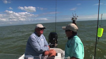 SFTV: Exploring Florida Bay Part 3