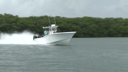 SFTV: Bridge Monsters Part 3