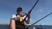 SFTV: Kayaking in Cabo Part 2