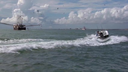 SFTV: Mullet Maulers Part 4