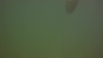 SFTV: Chillin' in Mosquito Lagoon Part 3