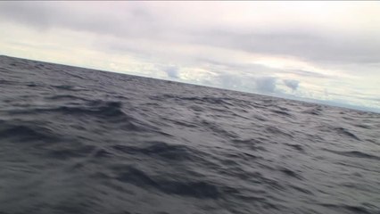 SFTV: Angling in Antigua Part 3