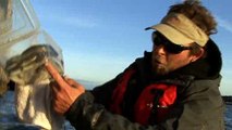 Kayak Fishing '09: Catching Striped Bass with Live Eels