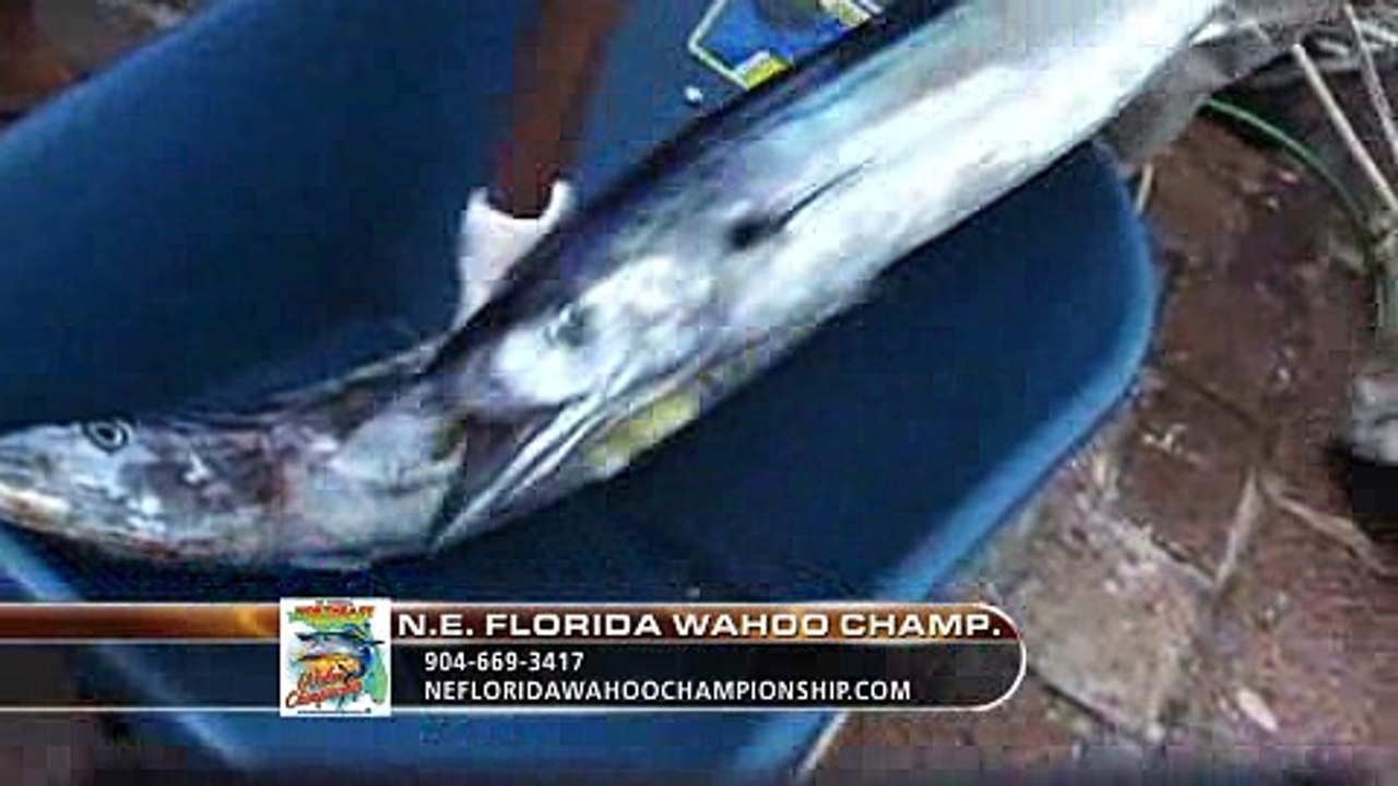 St. Augustine Speedsters