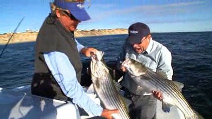 Earning Your Stripes