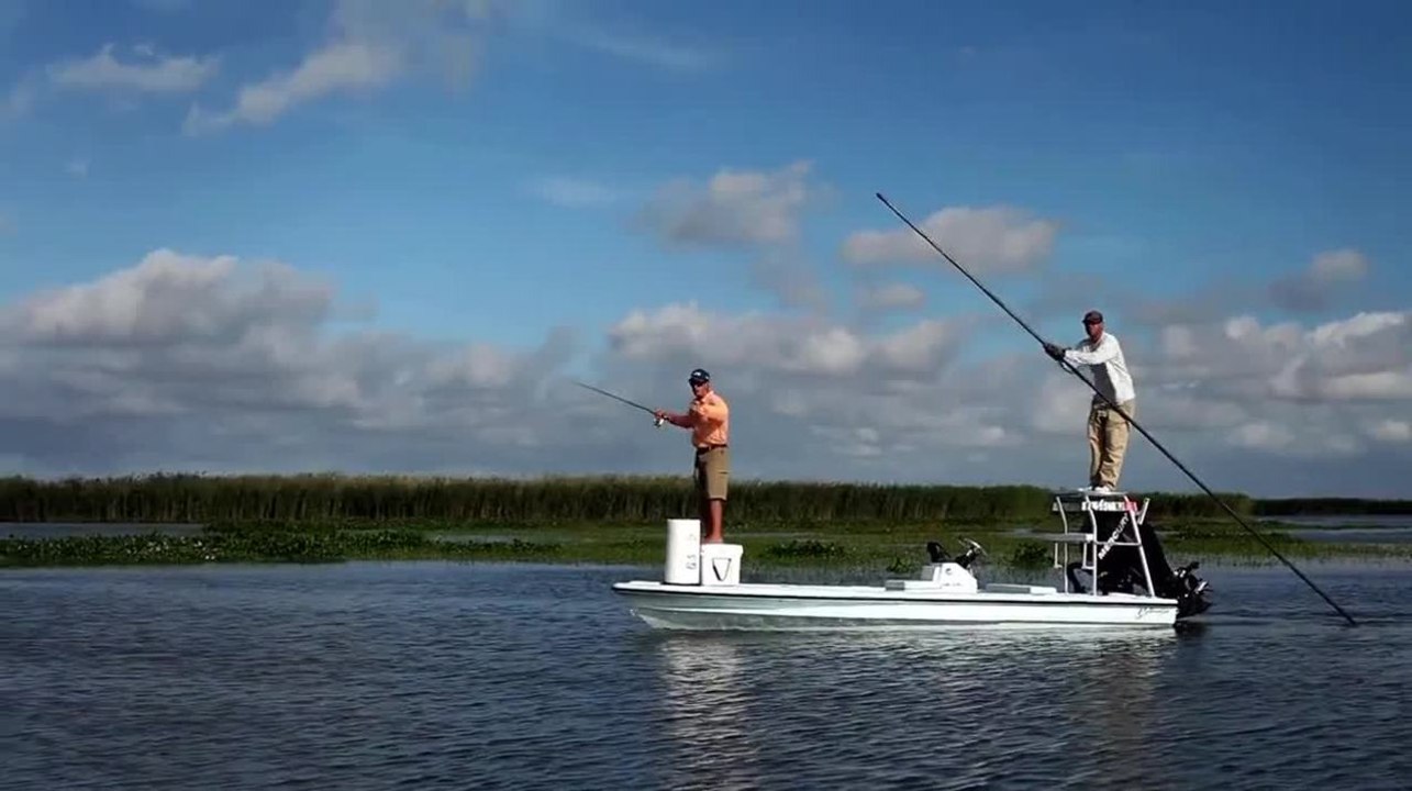 Louisiana Reds