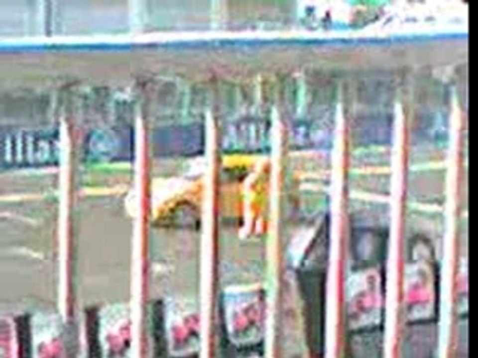 Lupo en pleine demonstration