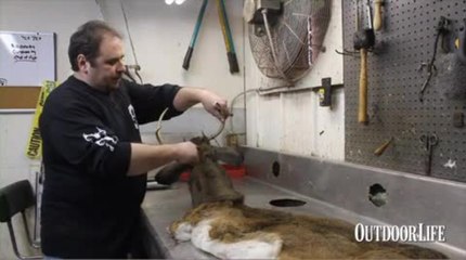 04 - How to Cape Out a Deer Head