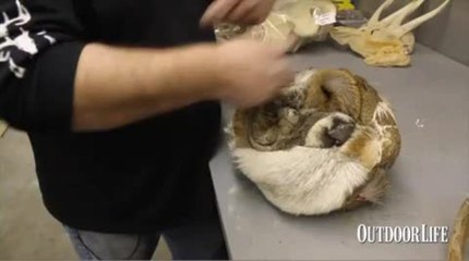 02 - bunch don't roll