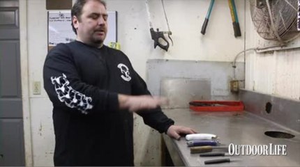 06 - Tools for Taxidermy: Knives