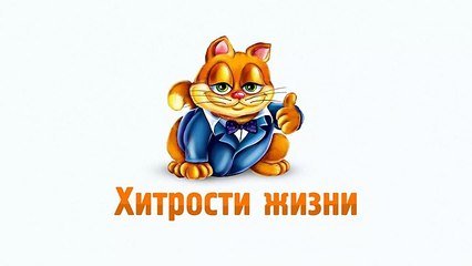 Скрытые функции компьютерной мыши - Хитрости жизни