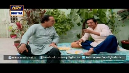 Watch Bulbulay 24th February 2016 Episode on ARY Digital
