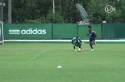 Incansável! Zé Roberto treina com garotos do Palmeiras e faz dois belos gols
