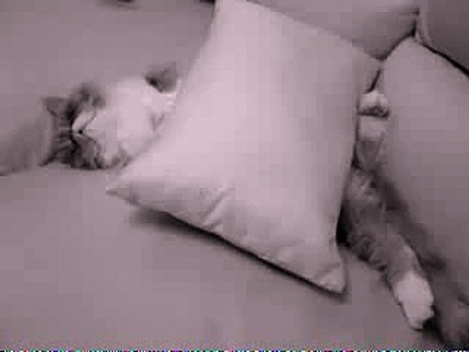 Just Waking Up