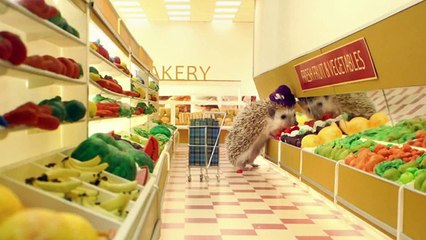 Lactofree Listen Up Hedgehogs!