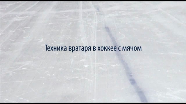 Техника вратаря в хоккее с мячом. Пособие по хоккею с мячом ИФКСиЗ САФУ