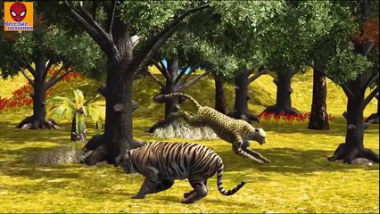 Семья пальчиков ЛЕОПАРД против ТИГРА 3D | Leopard vs Tiger Finger Family 3D in Russian