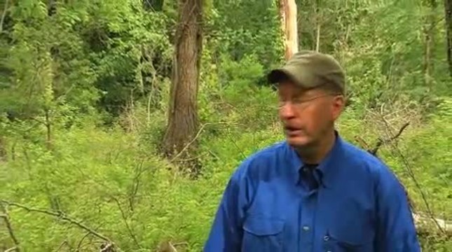 Rut Report: Find a Buzz Cut, Find Big Bucks