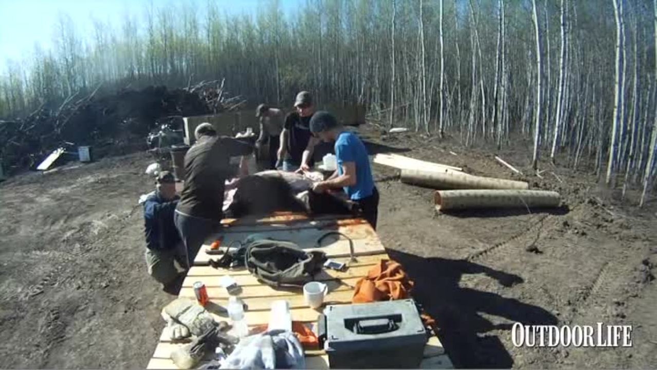 Bear Week: Knives for Skinning