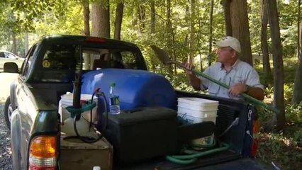 Heroes of Conservation 2011: Forest Rehabilitator