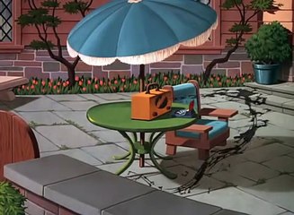 Donald Duck - Slide Donald Slide