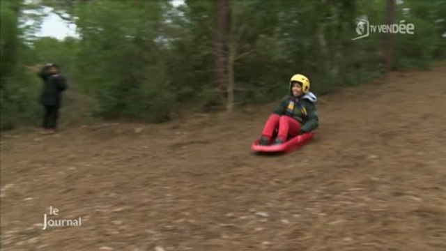Découverte de la luge sur aiguilles de pins (Vendée)