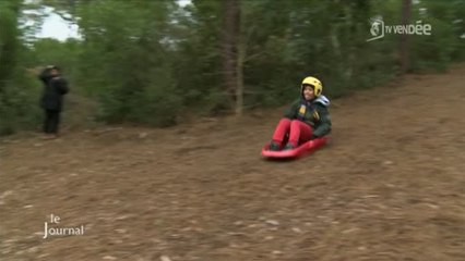 Découverte de la luge sur aiguilles de pins (Vendée)