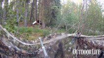 Way too Close to a Grizzly