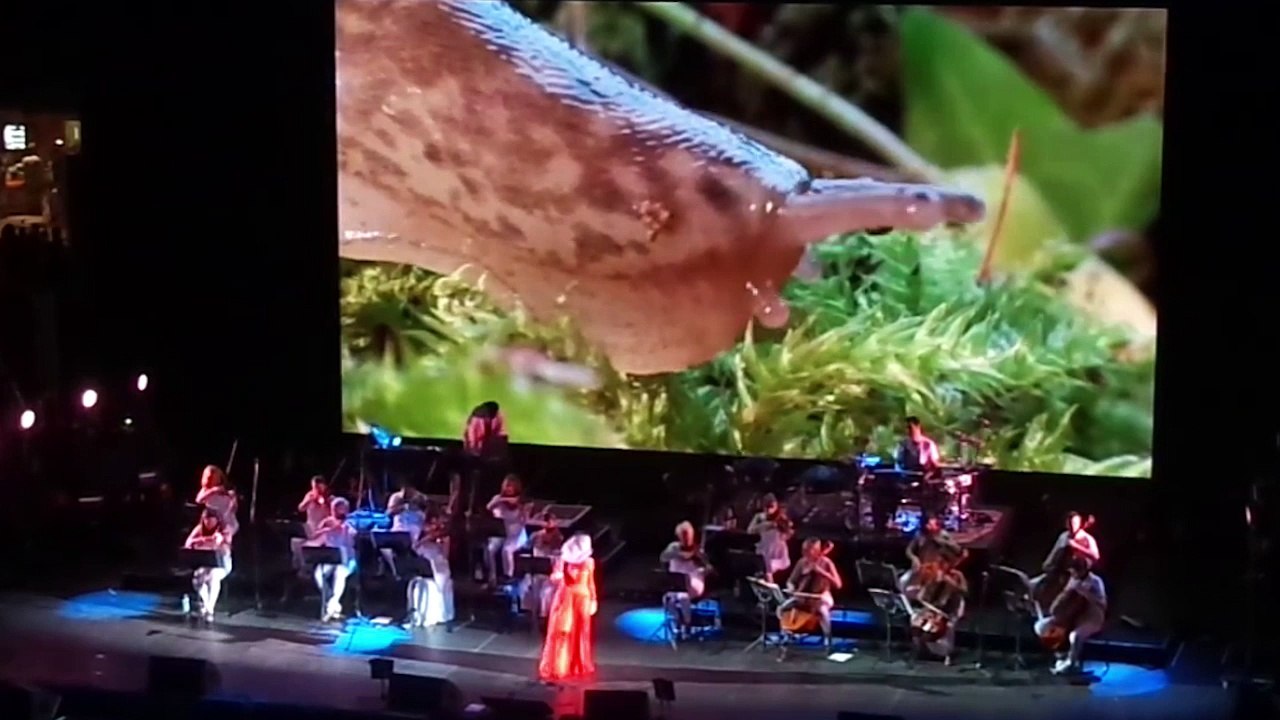 Björk - Come To Me (Vulnicura Live)