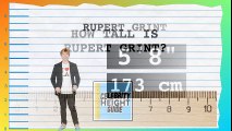 How Tall Is Rupert Grint? - Height Comparison!