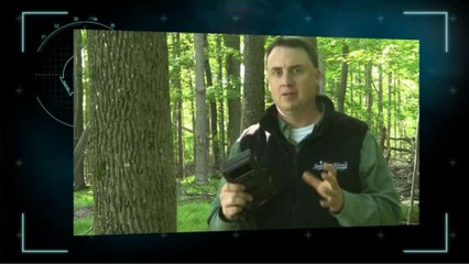 DSI Video Tip: Set & Forget