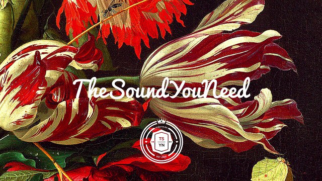 Amy Winehouse - Stronger Than Me (Digital Farm Animals Remix)