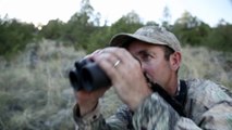 Mule Deer Hunting Tips: How to Pick the Right Cartridge