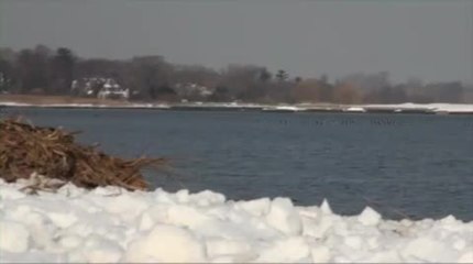 02 Long Crosser - 03