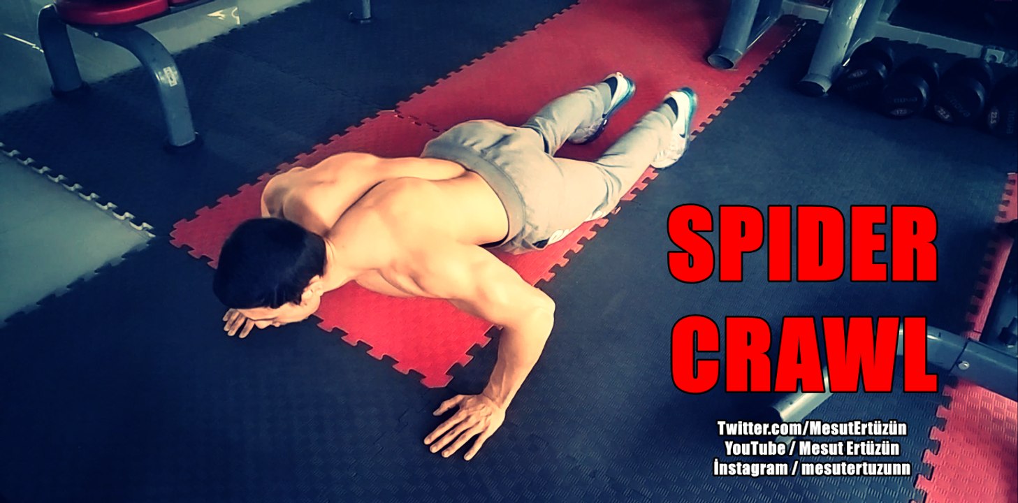 SPIDER CRAWL
