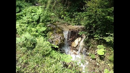 Ernim Ibrahimi - Dy Nuse Dy Motra (Official Video HD)