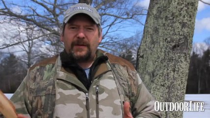 Finding Midmorning Birds