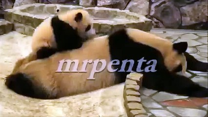 Ну ни как не получается разбудить свою маму