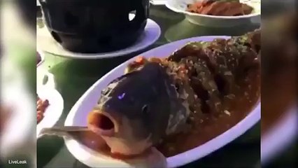 The shot of life Sliced fish seemingly comes alive on plate