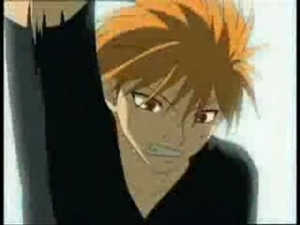 AMV Fruit Basket
