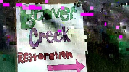 Preview the Kentucky Tributary Cleanup and Assessment