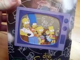 Unboxing Die Simpsons Season 1 DVD BOX
