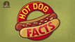 Interesting Facts About Hot Dogs | Amazing Food Facts