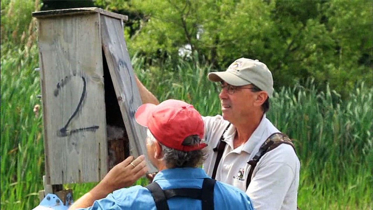 Heroes of Conservation 2012: The Nest Protector in Action