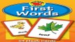 Read First Words Flash Cards  Brighter Child Flash Cards  Ebook pdf download