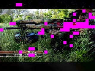 Morning vs Evening Hunt