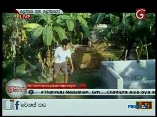 Lo sah loka 25.02.2016