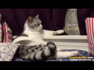 Geç Saate Kadar Eve Gelmeyen Çocuğunu Bekleyen Anne