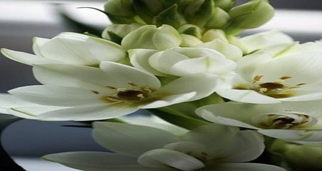 다파벳카지노 ュ Supercar123.Com 가입코드7171